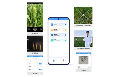 安顺市小麦亩穗数分析仪IN-XM02